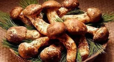 延边买特产去哪里,延边特产有哪些可以带走