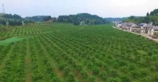 国庆大假哪里玩?大英邀你来看“海”!你只知道中国死海吗?