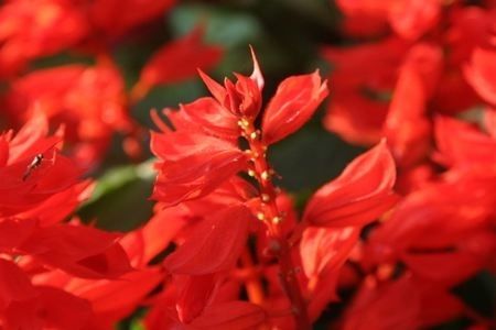 「你说我做之周浦篇」你不可错过的“小上海”，约吗？