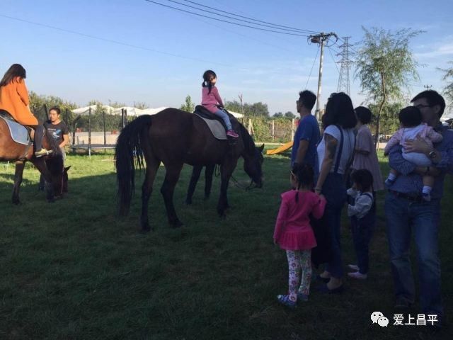 北京昌平十三陵民宿推荐,昌平民宿独立小院20人