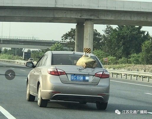 开双闪上路会被扣分吗,什么情况下不打开双闪扣6分