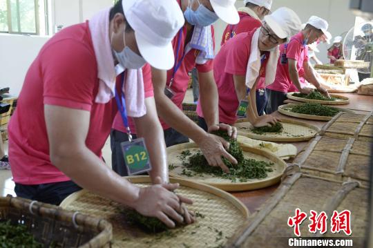 绿茶伤胃红茶上火,喝红茶上火喝绿茶胃凉怎么办