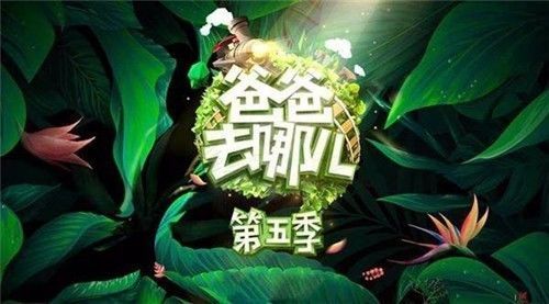 后期获赞、品质不减，《爸爸去哪儿5》如何延续高水准制作？
