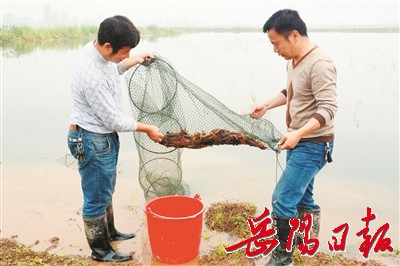 华容这5年：“三量齐升”向小康飞奔