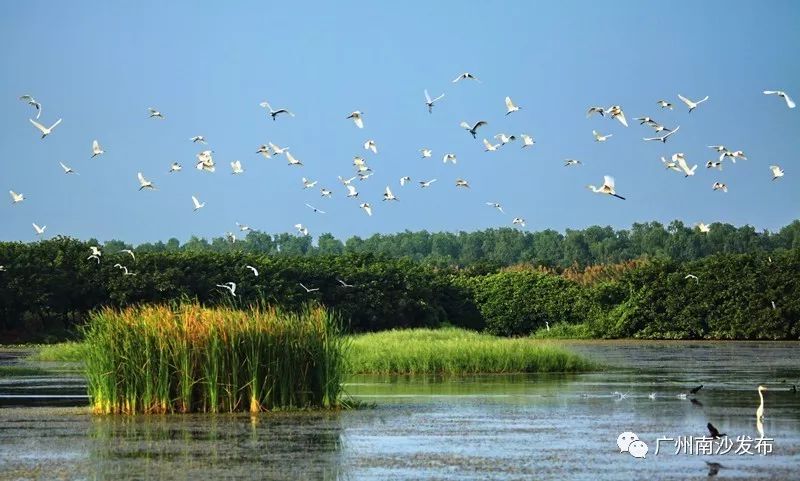 「关注」南沙举办“全球环境展望——世界环境科学家大会”招待会，还有精彩活动邀你参加！