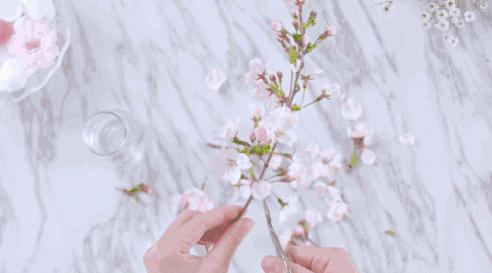 秋季进补,秋季药膳进补巧选择