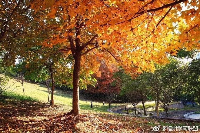 福州一中排名怎么样,福州一中全部排名