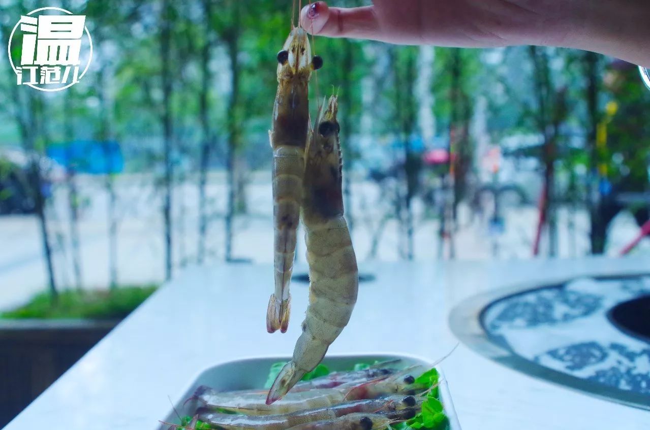 温江99元4人餐优惠团购火锅,6.6折成都火锅