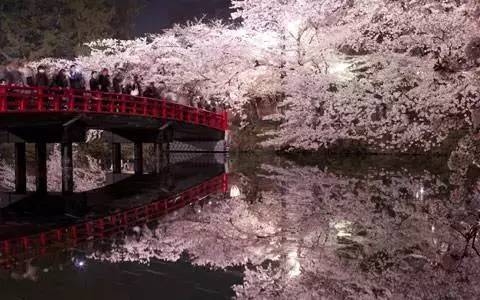 日本旅游不出门需要准备什么,日本旅游不能去的五个地方