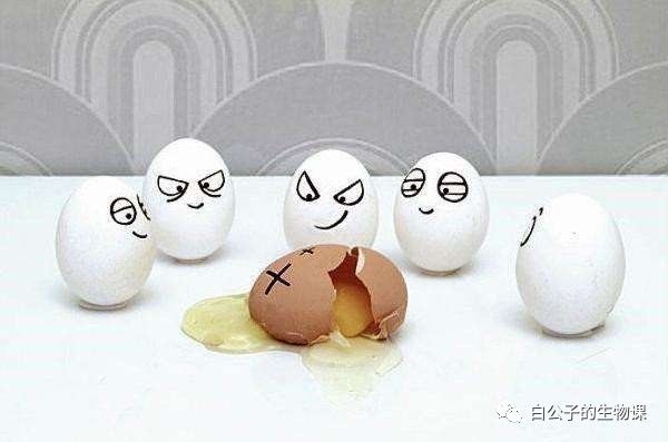 蛋碎了有多疼你知道吗？蛋蛋受伤虽然没有生孩子疼，但是也很要命啊！