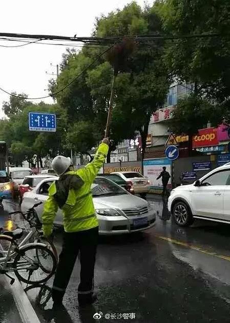 交警脱下雨衣的视频,交警脱下警帽的视频