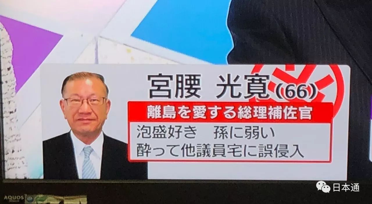 日本参院选举候选人,日本历次众院选举结果