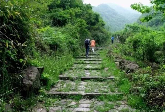 走不完的山川大地,走不完的川西看不完的美景
