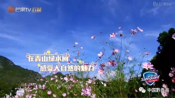 2022年万峰林机场航班时刻表,万峰林机场航班时刻表2023