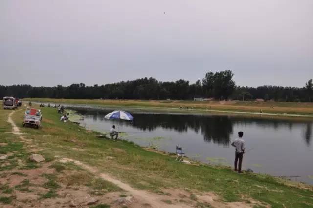 这些令人不可思议的冷知识,这些奇特的冷知识你们知道吗