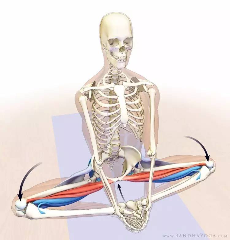 开胯为何痛不欲生？其实原因并不在胯上