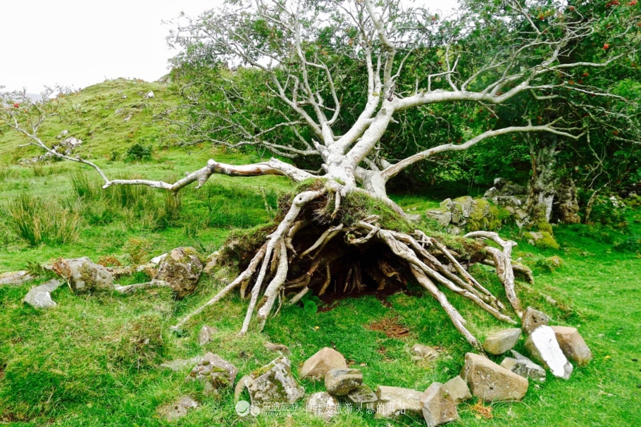 天空岛的秘密任务,天空岛苏格兰高地的极致风光