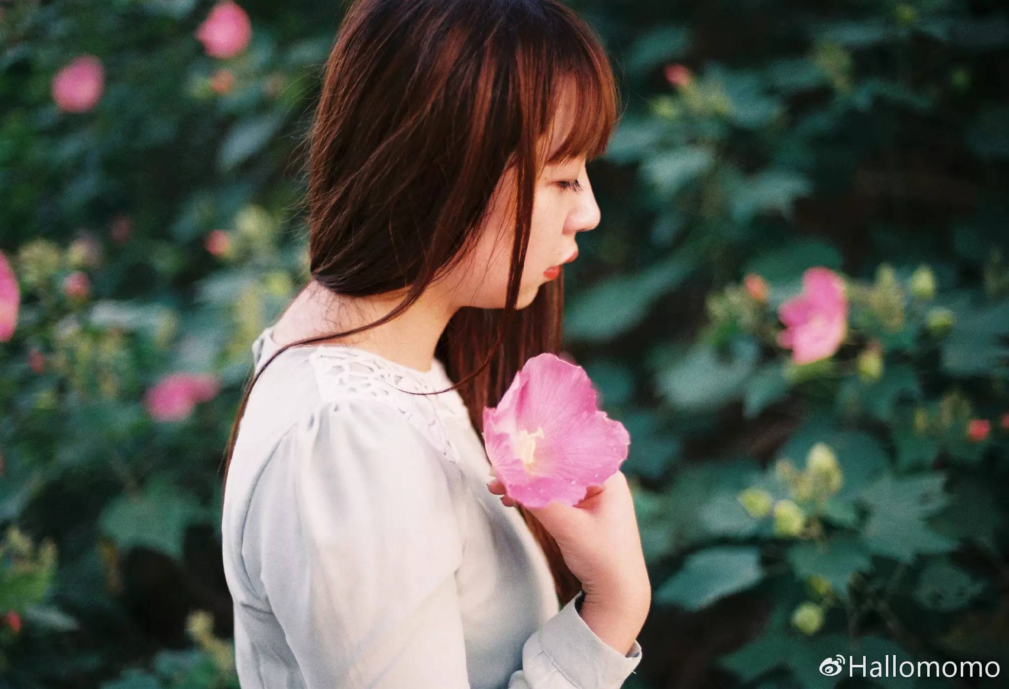 那些年我玩过的胶片机,旁轴胶片机推荐