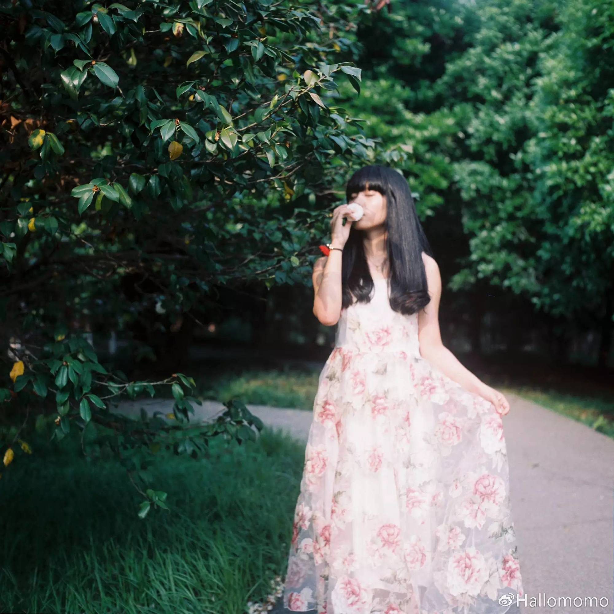 中画幅胶片机推荐,有哪些值得买的胶片机