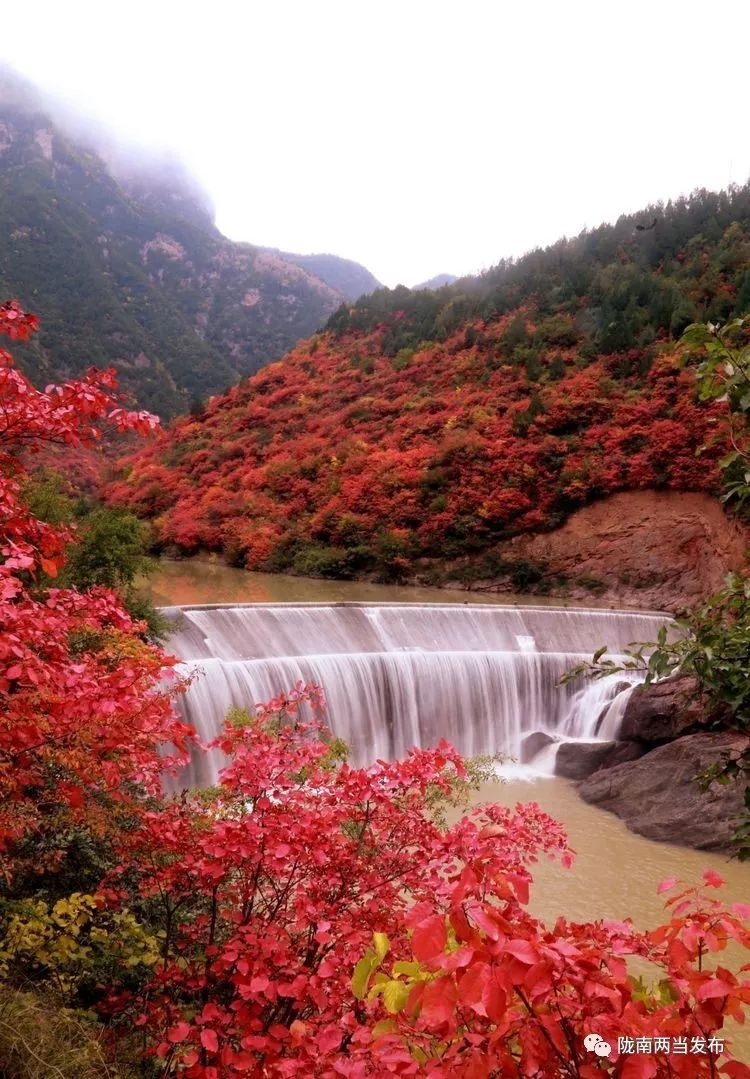 「精彩预告」两当县首届太极拳比赛暨赏红叶活动日程早知道