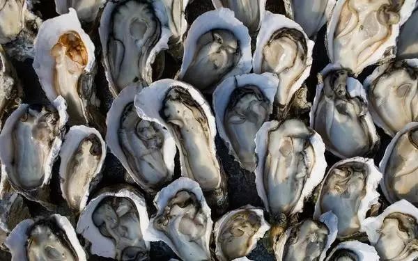 辽宁什么季节吃海鲜最好吃,辽宁海鲜什么时候便宜好吃