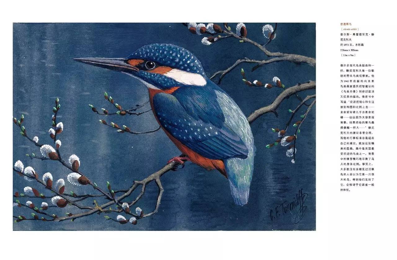 书籍人类的营养品莎士比亚,莎士比亚曾说书籍是人类的营养品