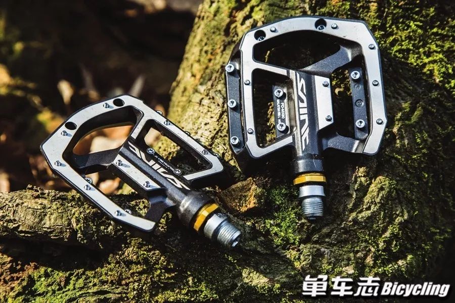 脚踏实地尽享骑趣9款速降平板脚踏推荐