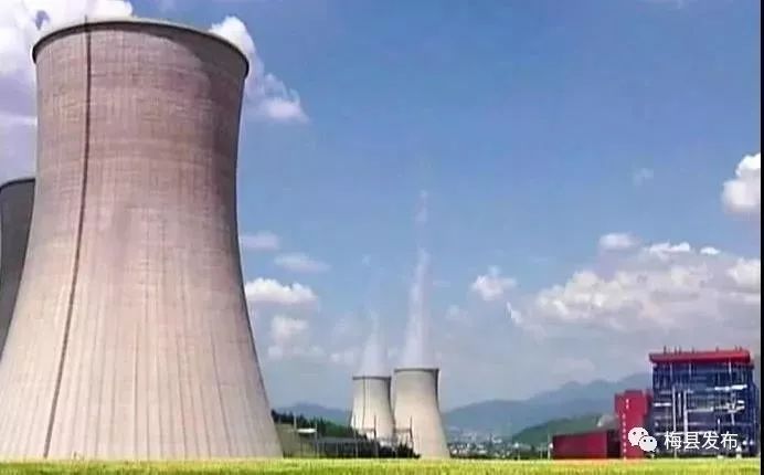 「聚焦」市区领导到宝丽华集团开展暖企行动：政企携手齐发力壮大实体经济