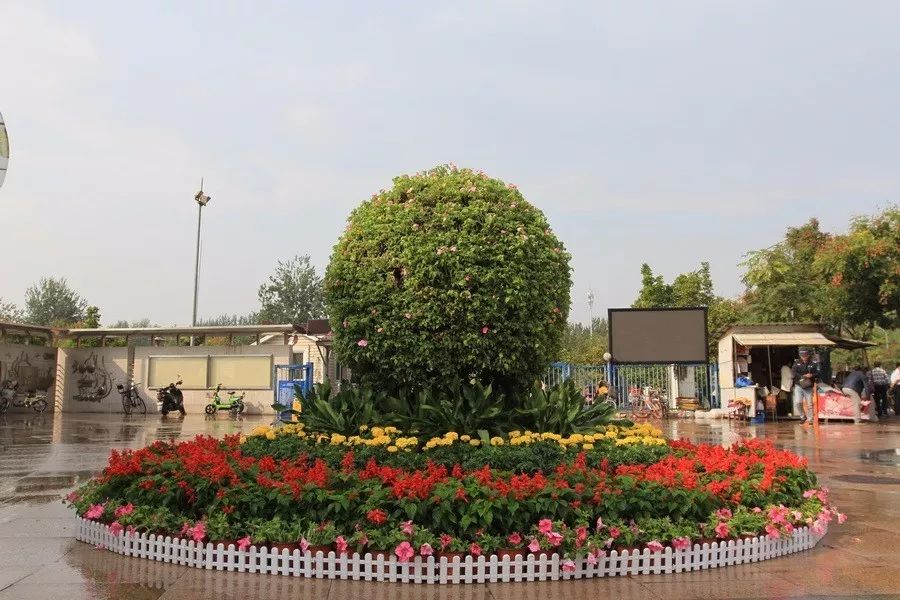 鍥介洉浣滃搧,鍥介洉瑁呬慨