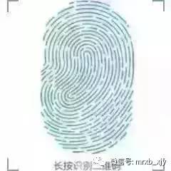 49.9元竟能网购“实习证明”？