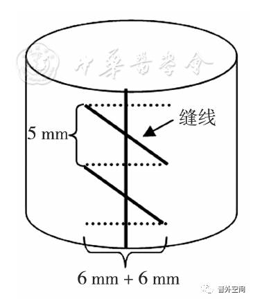 褥式垂直缝合法,垂直褥式缝合教学视频