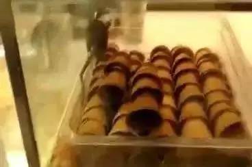 吃东西食道划破算意外吗,食道被食物划破是什么原因