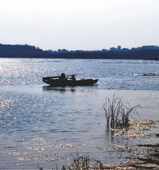 银杏舞，醉深秋｜送您最新赏杏精品自驾游线路！