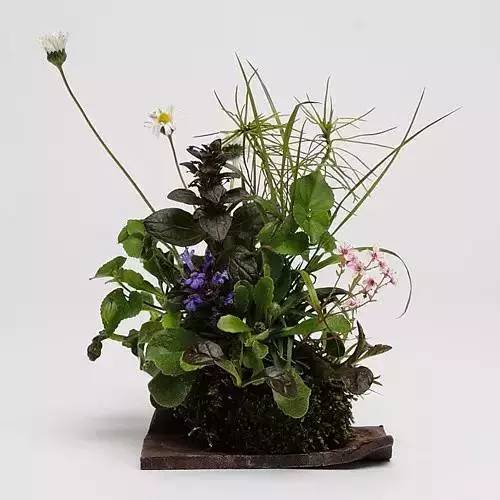 一花一世界一草一天堂一叶一菩提,一花一世界一草一天堂歌曲