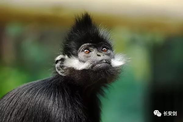 法治新闻最新信息评析,法治新闻2020完整版