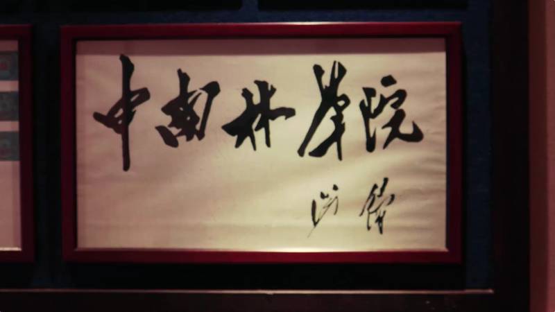 献给你，光影中的林科大