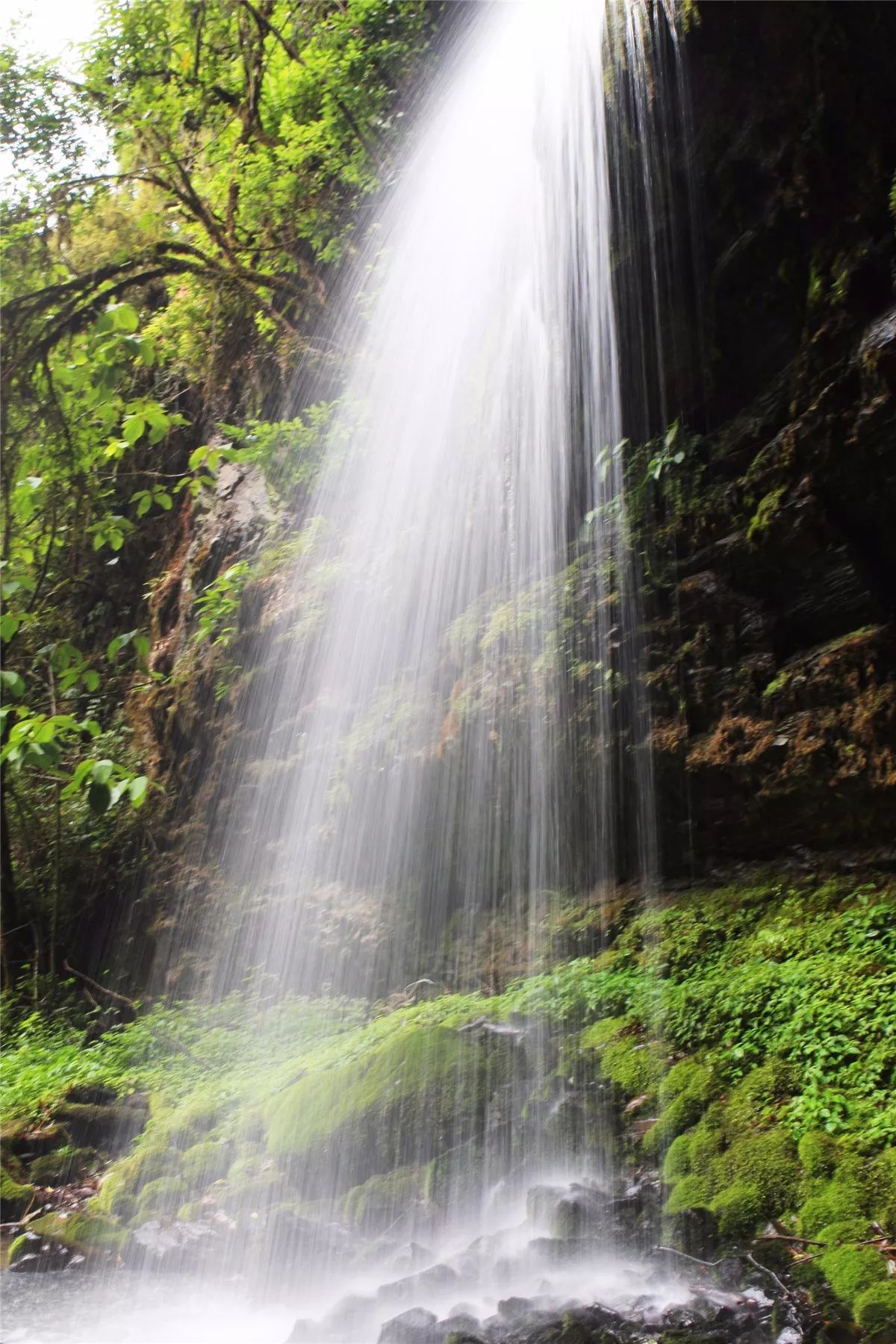 芒市黑河老坡沿途自然风景,芒市苤菜坝和黑河老坡一样吗