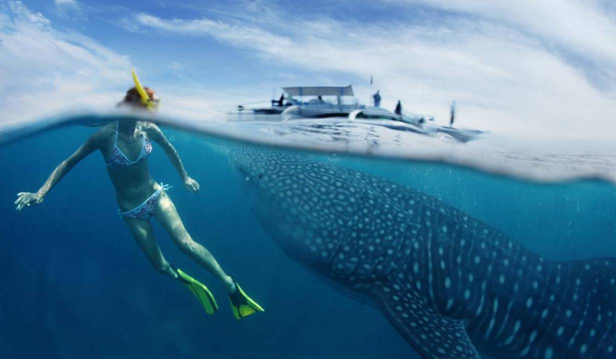 菲律宾最接近天堂的地方,菲律宾最值得去的地方