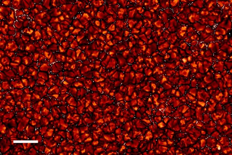 超高清太阳光芒万丈图片,超高分辨率的图片