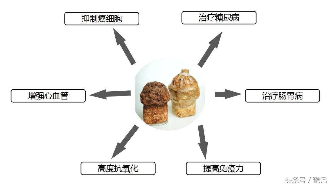 老当益壮成就,老当益壮的勇气和担当