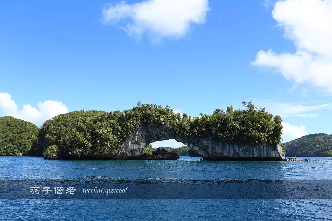 帕劳旅行真实感受,三次帕劳是一种什么体验