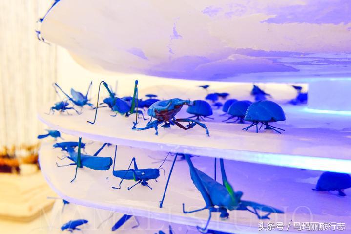 住赏气质喆啡，一辆复古老爷车把你接到咖啡馆的家