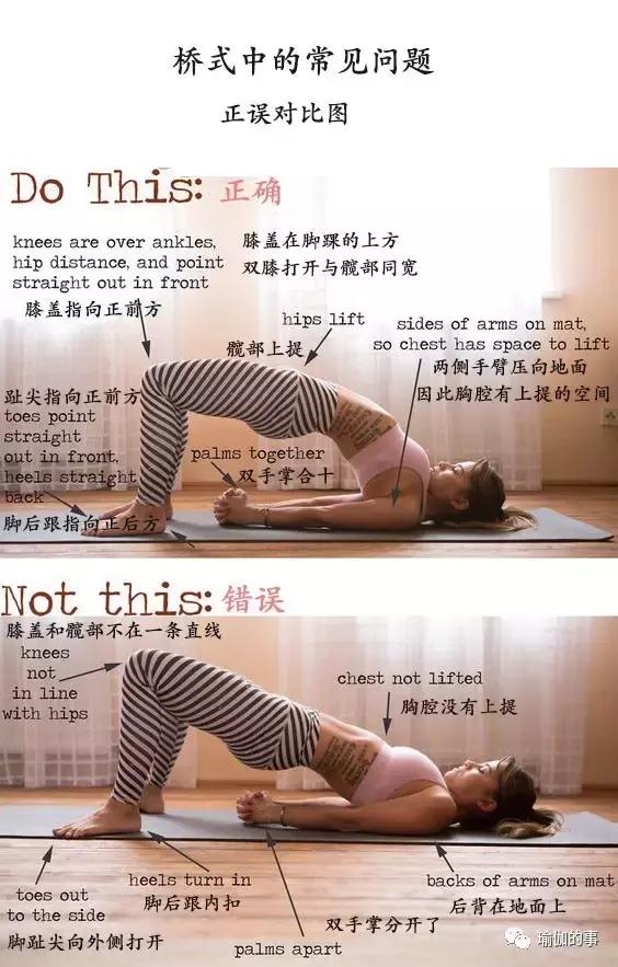 每天进步一点点！今日体式：桥式详解以及正误对比