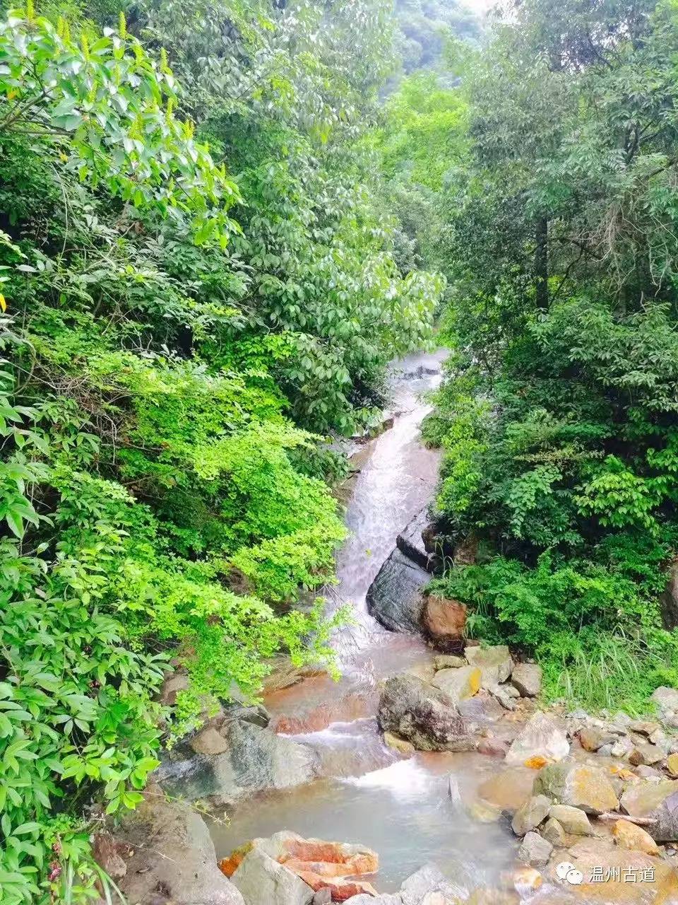 文成县珊溪水库地图,正宗文成珊溪水库有机鱼