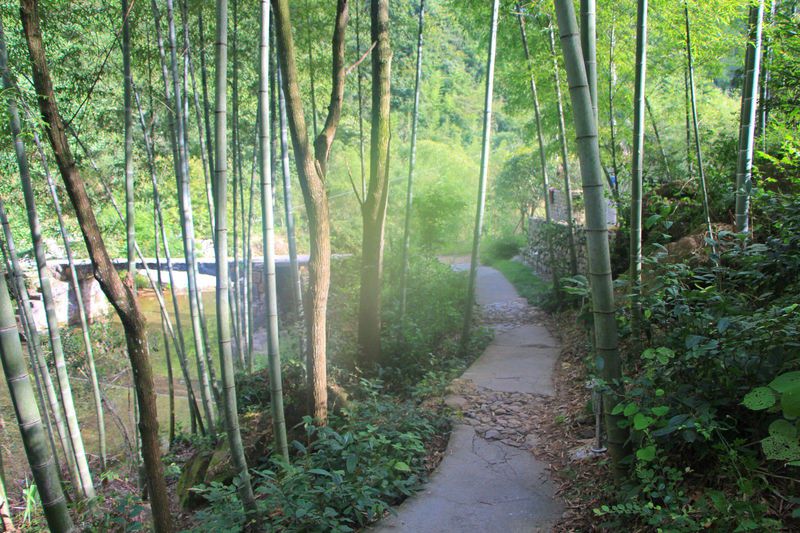 一场说走就走的夏日旅游,一场说走就走的山水旅游