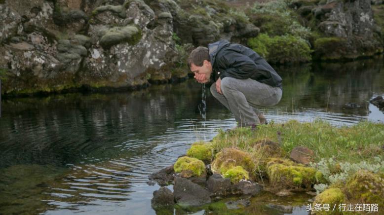 麦当劳为什么在冰岛,麦当劳退出冰岛市场根本原因