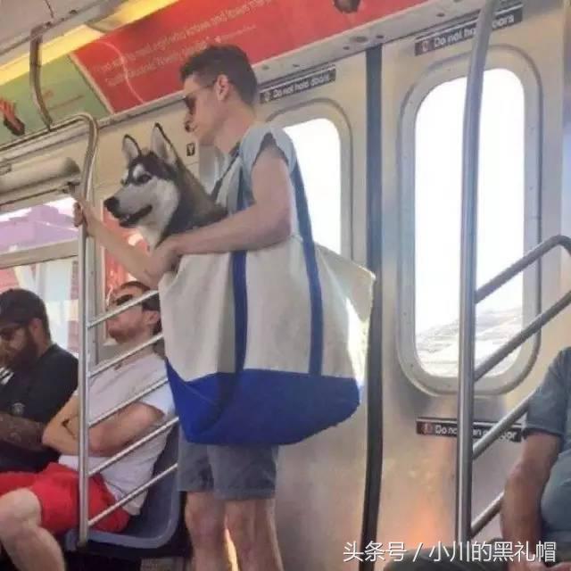 包包帆布包高级感,既可以背又可以提的帆布包