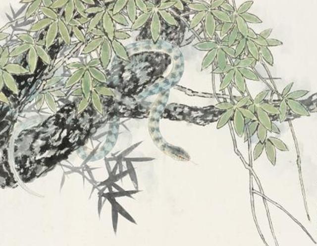 2022年生肖蛇的财星,2017年生肖蛇情感运势