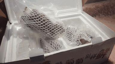 不是天生黑的被晒黑的怎么变白,如果不是天生黑是晒黑的该怎么办