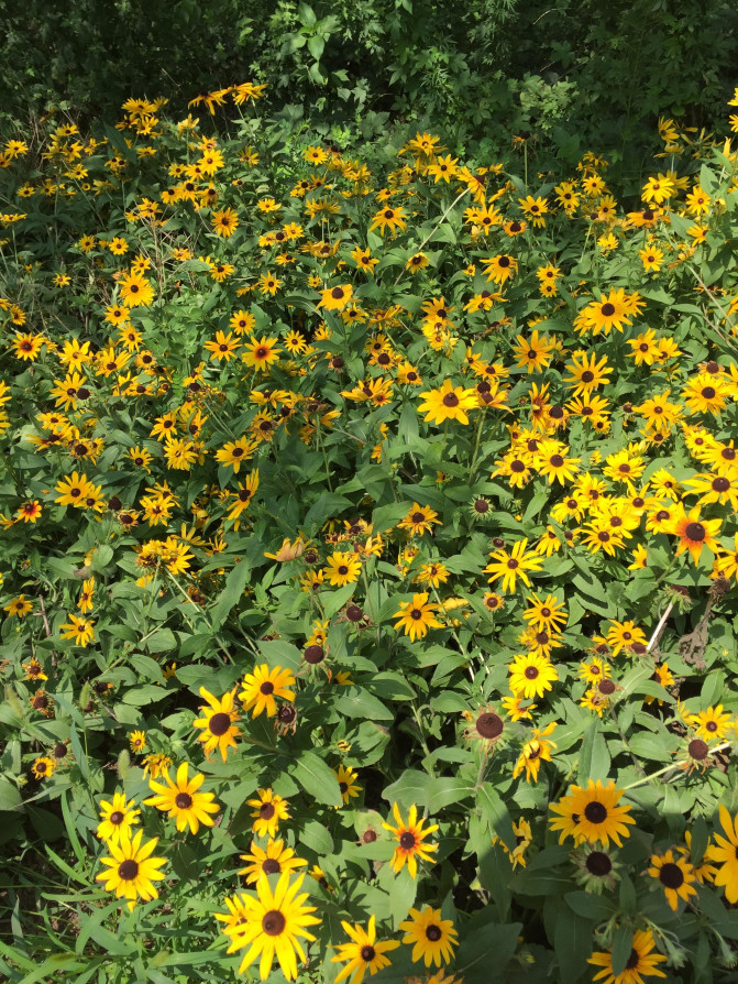 一场说走就走的环岛游,葫芦岛山海关自驾游